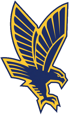 Marquette Golden Eagles 1994-2004 Secondary Logo diy iron on heat transfer
